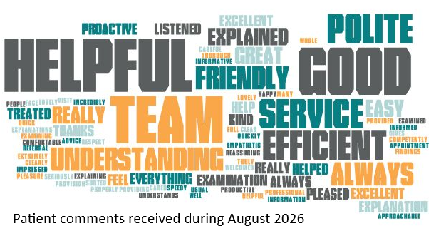 word cloud of patient comments received during August 2026