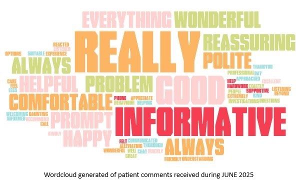 June 2025 word cloud of patient comments