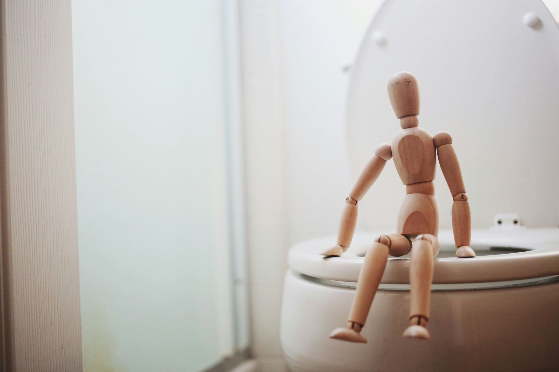 wooden model sits on a white toilet